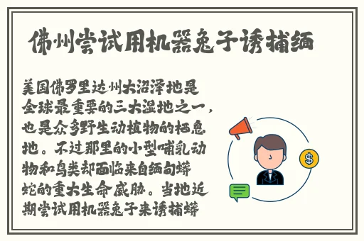 小草神打扑克又疼又叫